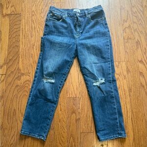 Pistola Dark Blue Distressed Jeans Size 31P